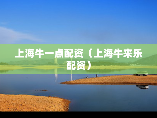 上海牛一点配资（上海牛来乐配资）