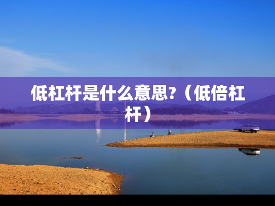 低杠杆是什么意思?（低倍杠杆）