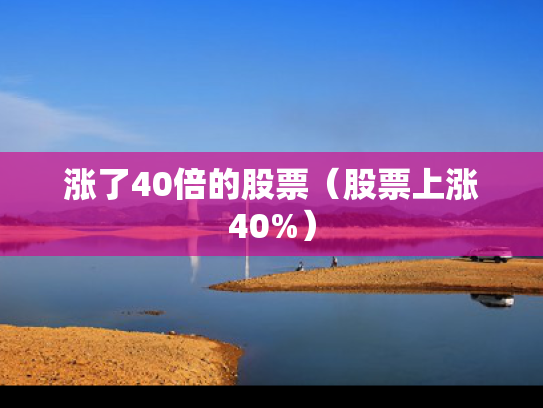 涨了40倍的股票（股票上涨40%）