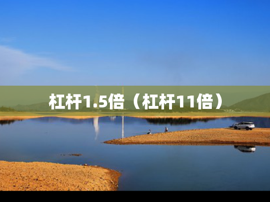 杠杆1.5倍（杠杆11倍）