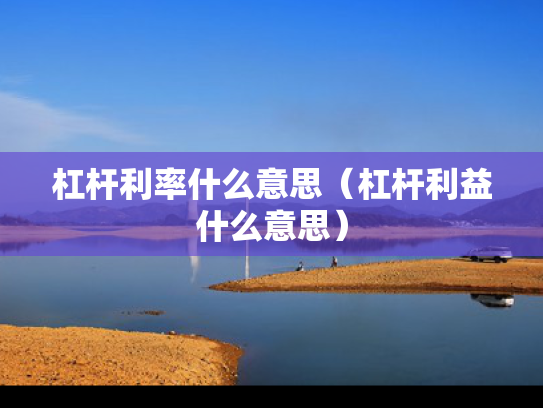 杠杆利率什么意思（杠杆利益什么意思）