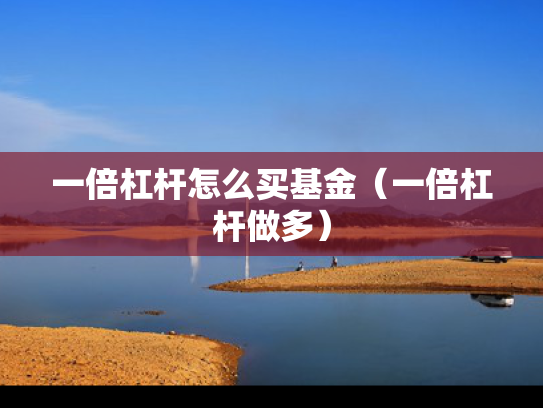 一倍杠杆怎么买基金（一倍杠杆做多）