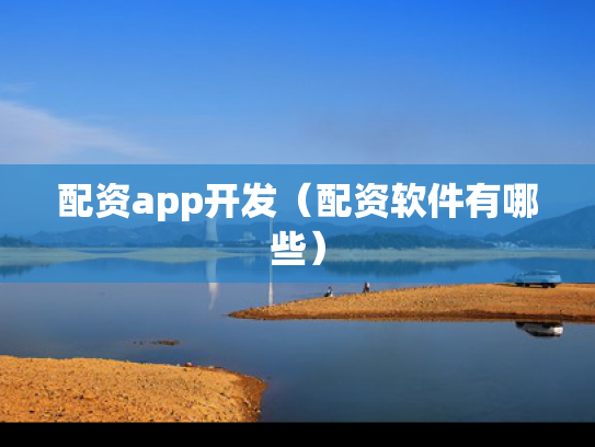 配资app开发（配资软件有哪些）