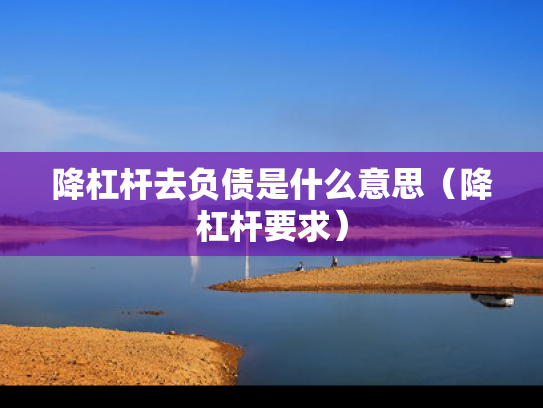 降杠杆去负债是什么意思（降杠杆要求）