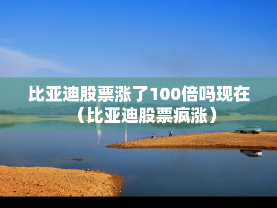 比亚迪股票涨了100倍吗现在（比亚迪股票疯涨）