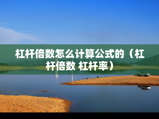 杠杆倍数怎么计算公式的（杠杆倍数 杠杆率）
