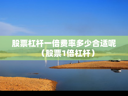 股票杠杆一倍费率多少合适呢（股票1倍杠杆）