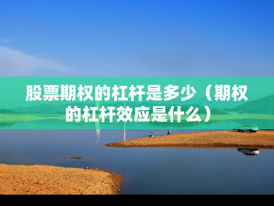 股票期权的杠杆是多少（期权的杠杆效应是什么）
