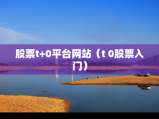 股票t+0平台网站（t 0股票入门）