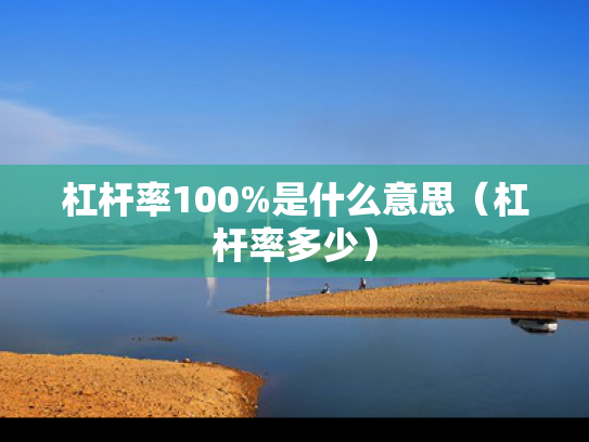 杠杆率100%是什么意思（杠杆率多少）