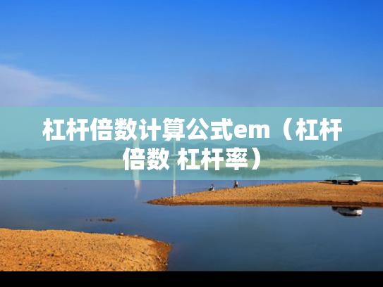 杠杆倍数计算公式em（杠杆倍数 杠杆率）