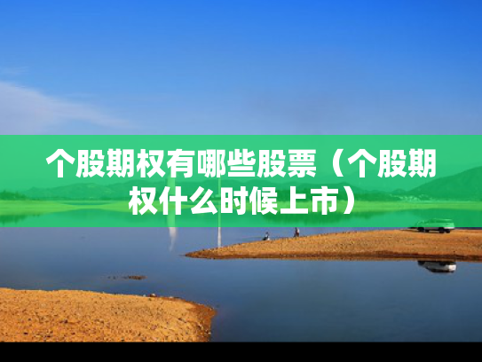 个股期权有哪些股票（个股期权什么时候上市）