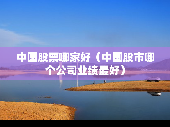 中国股票哪家好（中国股市哪个公司业绩最好）