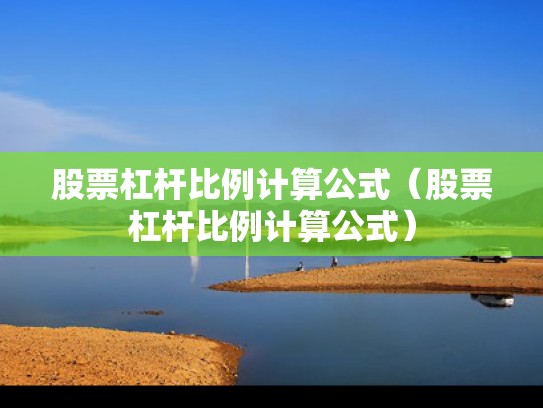 股票杠杆比例计算公式（股票杠杆比例计算公式）