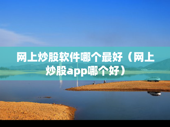 网上炒股软件哪个最好（网上炒股app哪个好）