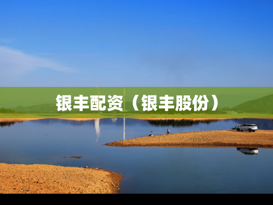 银丰配资（银丰股份）