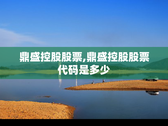 鼎盛控股股票,鼎盛控股股票代码是多少