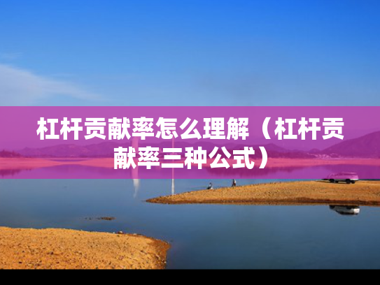 杠杆贡献率怎么理解（杠杆贡献率三种公式）