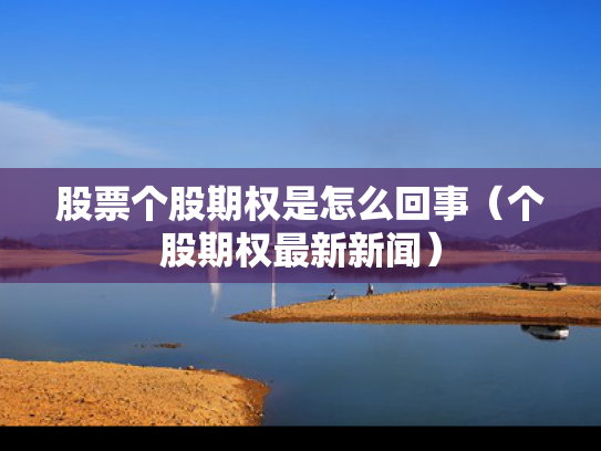 股票个股期权是怎么回事（个股期权最新新闻）
