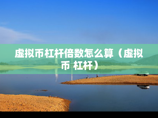 虚拟币杠杆倍数怎么算（虚拟币 杠杆）