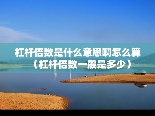 杠杆倍数是什么意思啊怎么算（杠杆倍数一般是多少）