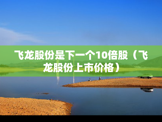 飞龙股份是下一个10倍股（飞龙股份上市价格）