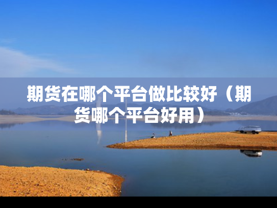 期货在哪个平台做比较好（期货哪个平台好用）