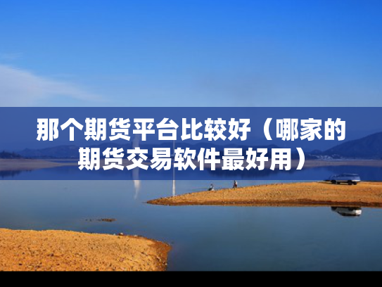 那个期货平台比较好（哪家的期货交易软件最好用）
