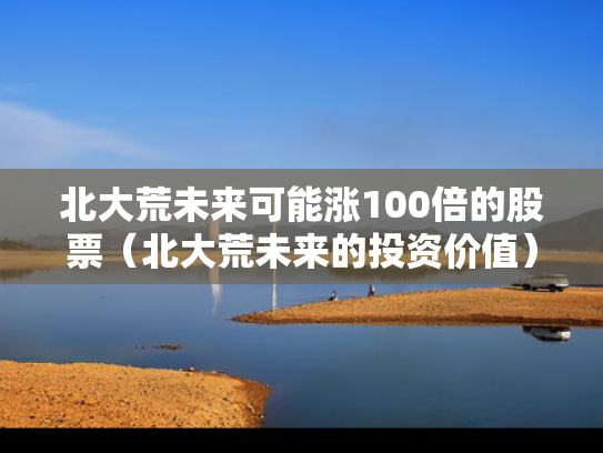 北大荒未来可能涨100倍的股票（北大荒未来的投资价值）