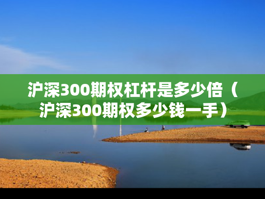沪深300期权杠杆是多少倍（沪深300期权多少钱一手）