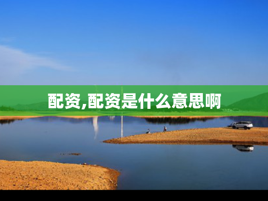 配资,配资是什么意思啊