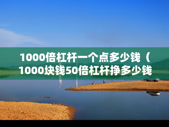 1000倍杠杆一个点多少钱（1000块钱50倍杠杆挣多少钱）