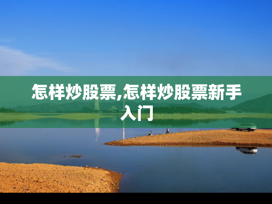 怎样炒股票,怎样炒股票新手入门
