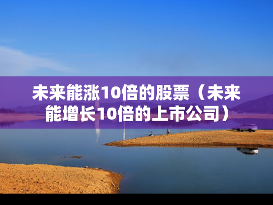 未来能涨10倍的股票（未来能增长10倍的上市公司）