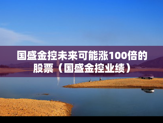 国盛金控未来可能涨100倍的股票（国盛金控业绩）