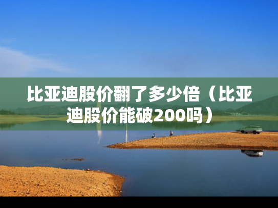 比亚迪股价翻了多少倍（比亚迪股价能破200吗）
