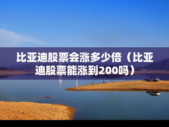 比亚迪股票会涨多少倍（比亚迪股票能涨到200吗）