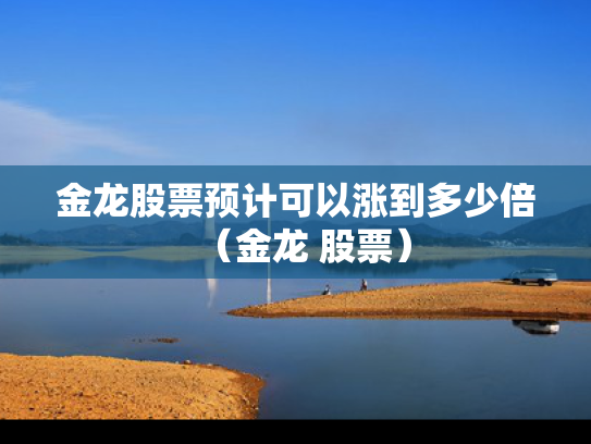 金龙股票预计可以涨到多少倍（金龙 股票）