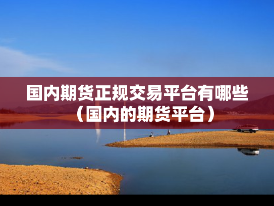 国内期货正规交易平台有哪些（国内的期货平台）