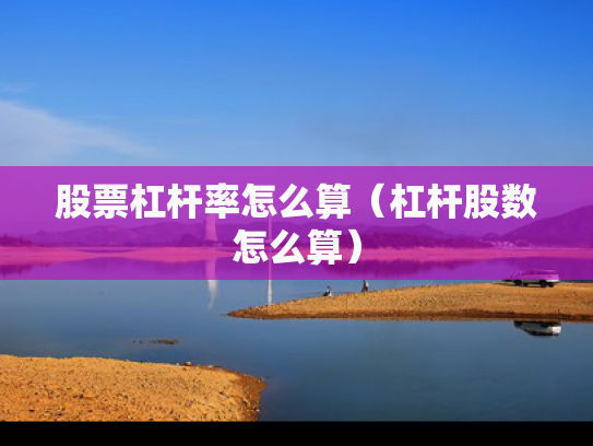 股票杠杆率怎么算（杠杆股数怎么算）