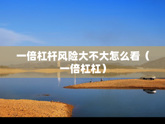 一倍杠杆风险大不大怎么看（一倍杠杠）