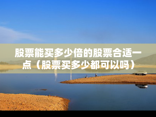 股票能买多少倍的股票合适一点（股票买多少都可以吗）