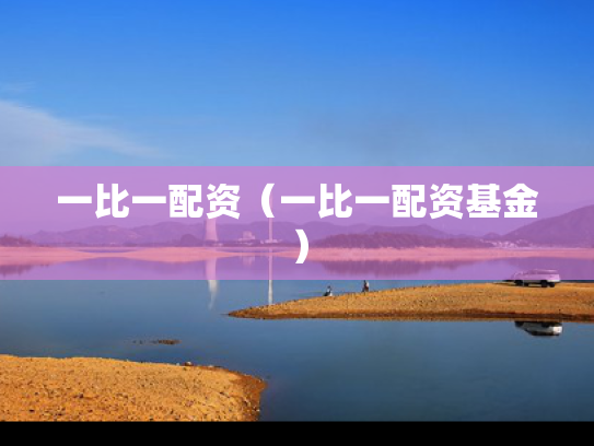 一比一配资（一比一配资基金）