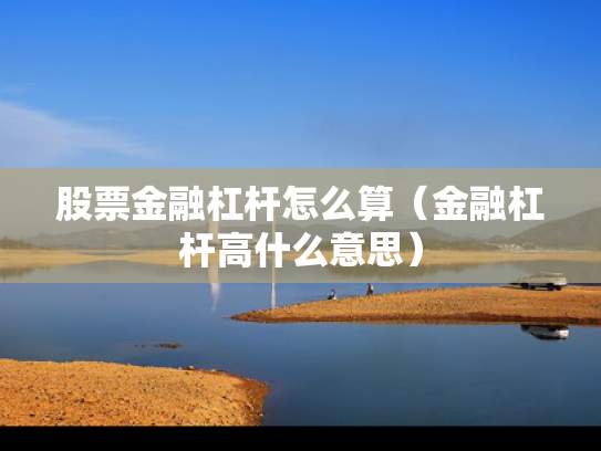 股票金融杠杆怎么算（金融杠杆高什么意思）