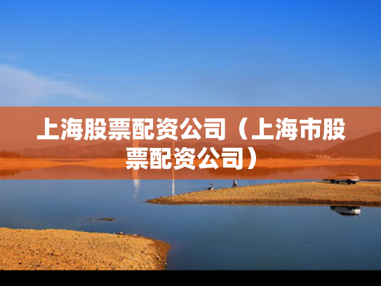 上海股票配资公司（上海市股票配资公司）