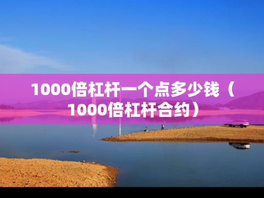 1000倍杠杆一个点多少钱（1000倍杠杆合约）