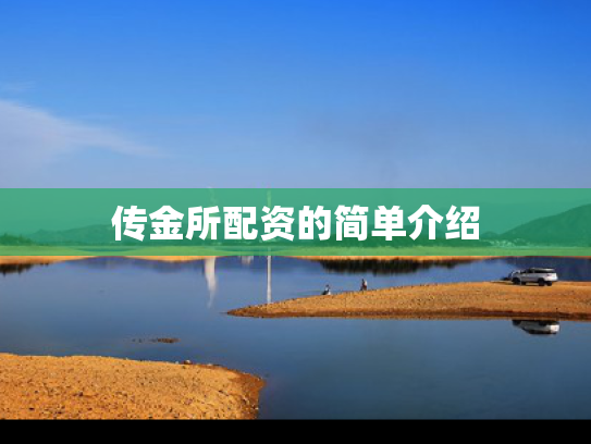 传金所配资的简单介绍