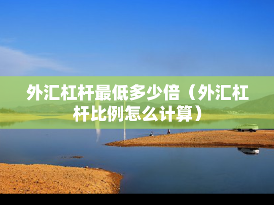 外汇杠杆最低多少倍（外汇杠杆比例怎么计算）