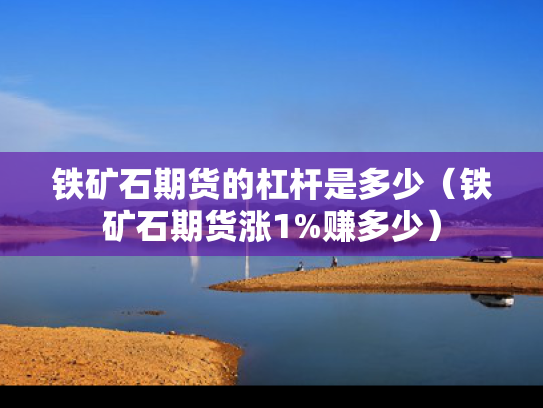 铁矿石期货的杠杆是多少（铁矿石期货涨1%赚多少）