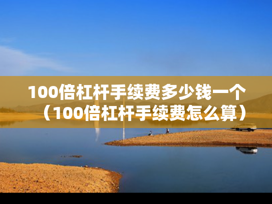 100倍杠杆手续费多少钱一个（100倍杠杆手续费怎么算）